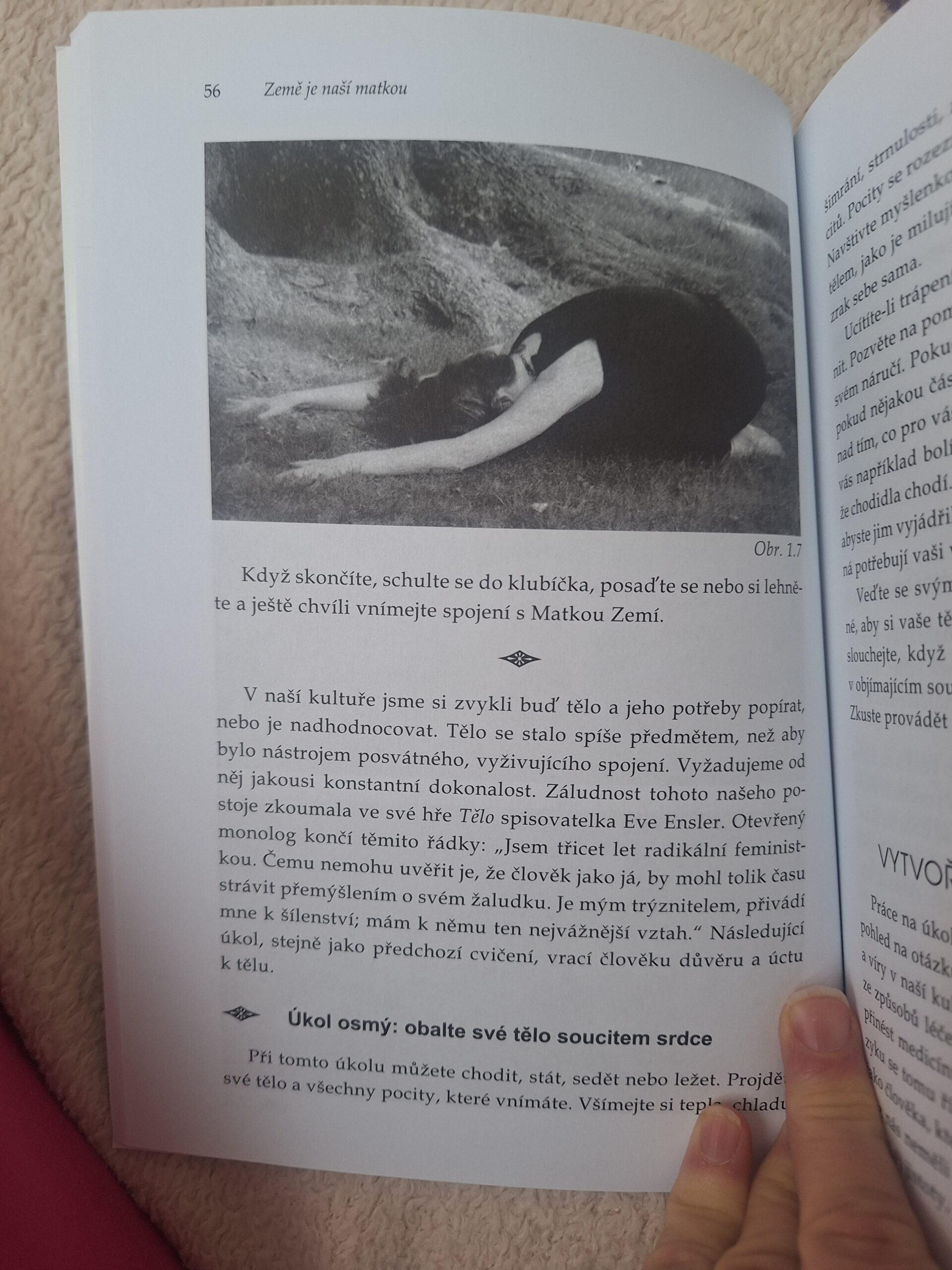 Čakry v šamanské praxi - Obrázek 4